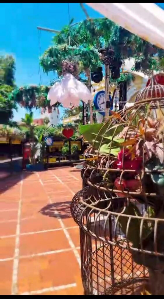 decoraciones whatsapp image 2026 03 19 at 18.08.02 (3)