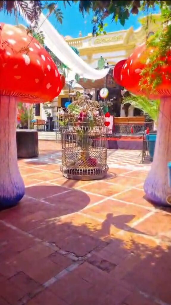 decoraciones whatsapp image 2026 03 19 at 18.08.03