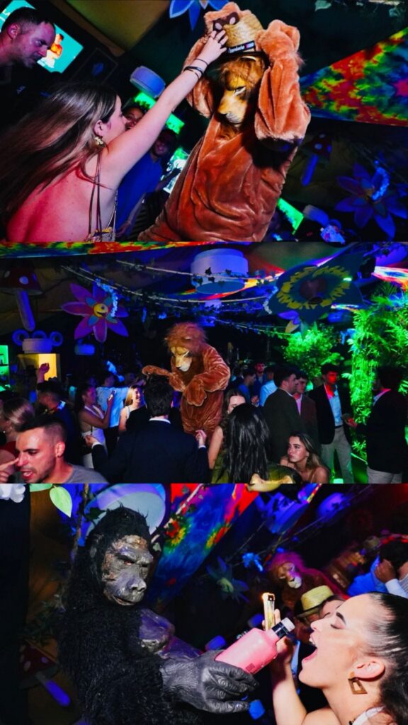 decoraciones whatsapp image 2026 03 19 at 18.10.17 (3)