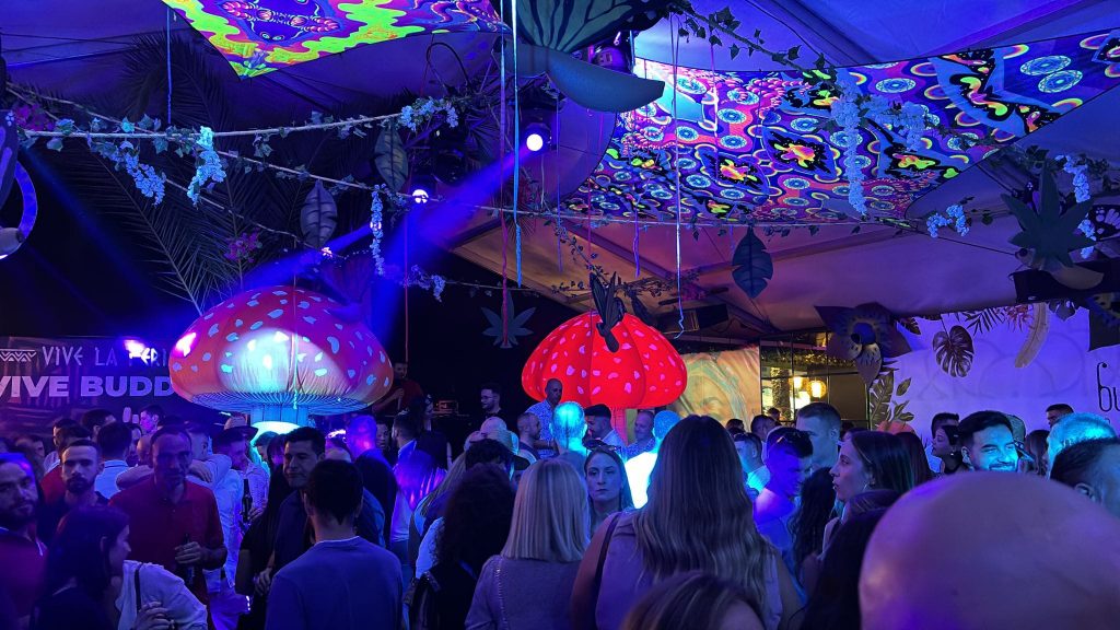 decoraciones whatsapp image 2026 03 19 at 18.14.16