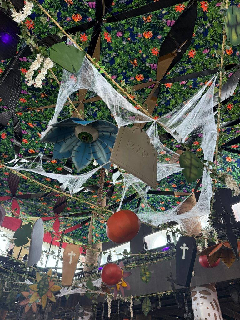 decoraciones whatsapp image 2026 03 19 at 18.16.51 (1)